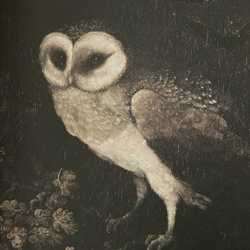 NEW - Mystical Owl Framed Art - Picture 7 of 7